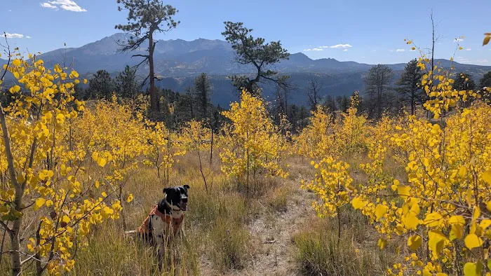 Boondock Camping 1
