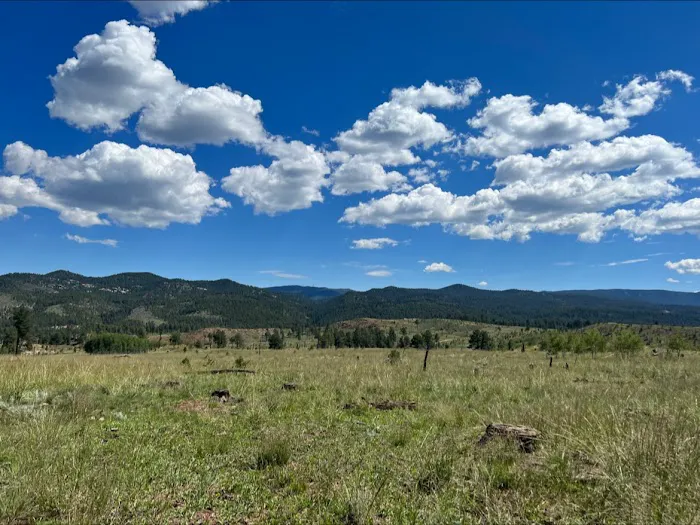 Rainbow Falls Area 7
