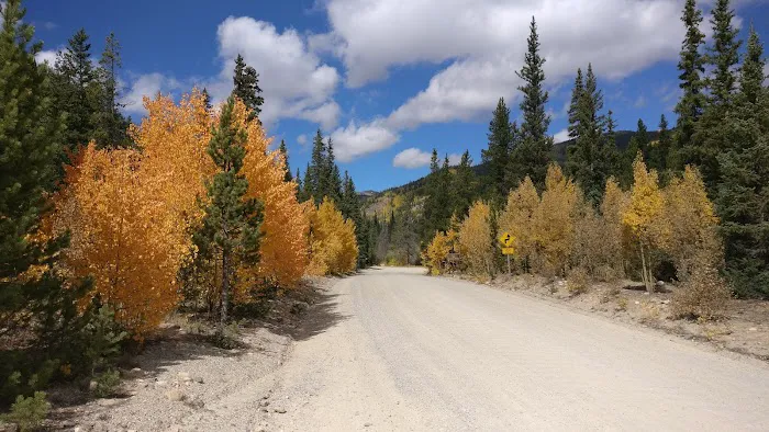 Lodgepole Campground 4