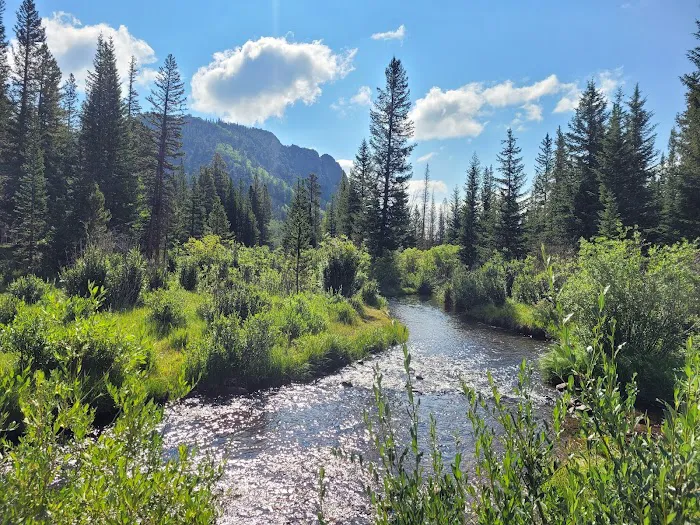Lodgepole Campground 8