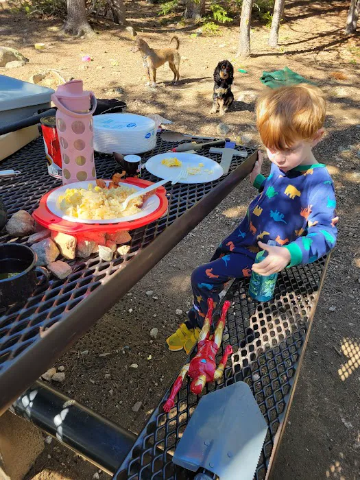 Lodgepole Campground 6