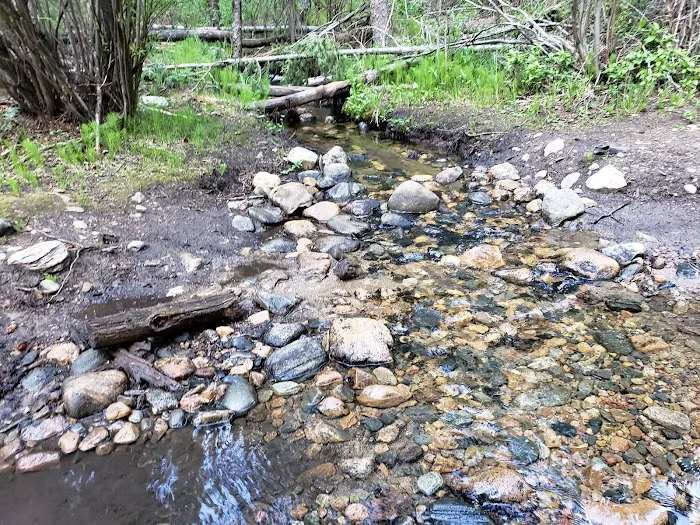 Beaver Ponds Picnic Area 8