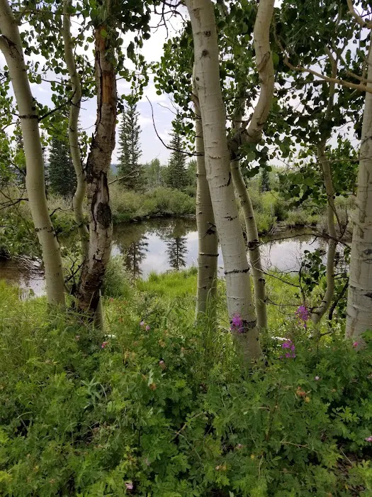 Beaver Ponds Picnic Area 4