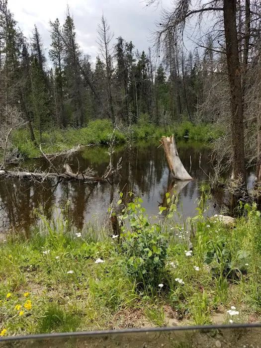 Beaver Ponds Picnic Area 7