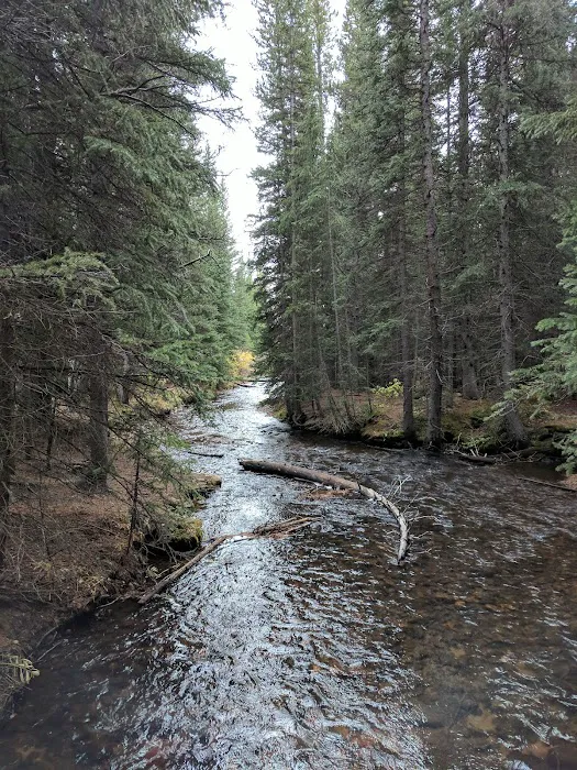 Beaver Ponds Picnic Area 5