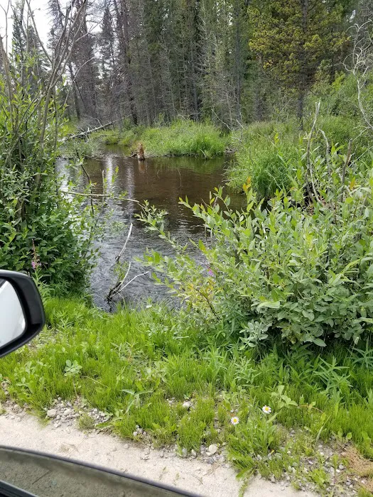 Beaver Ponds Picnic Area 1