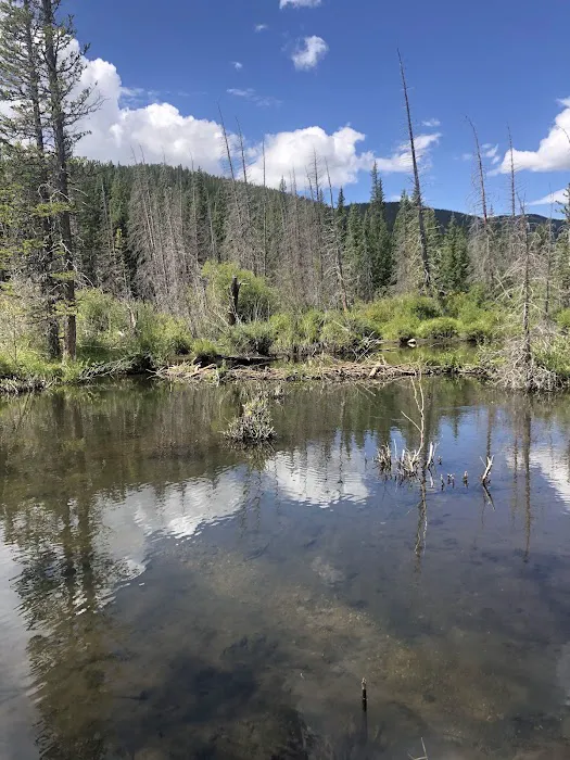 Beaver Ponds Picnic Area 9