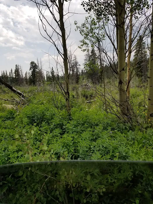 Beaver Ponds Picnic Area 0