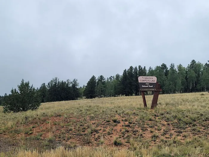 Timberline Campground 1