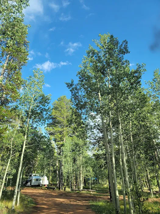 Timberline Campground 7
