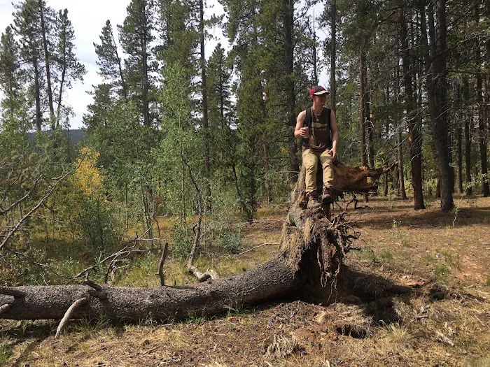 Timberline Campground 4