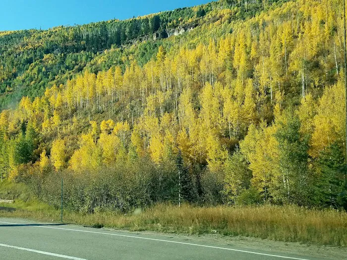 Vail Pass / Tenmile Canyon National Recreation Tra (recgovnpsdata) 8