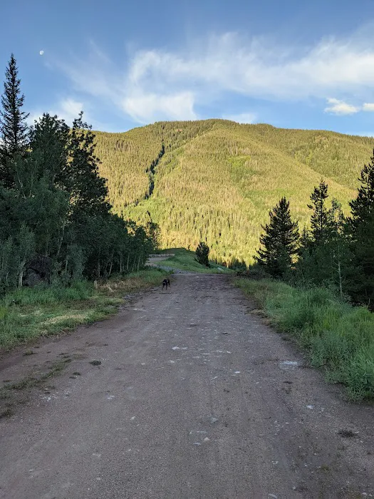 Vail Pass / Tenmile Canyon National Recreation Tra (recgovnpsdata) 6