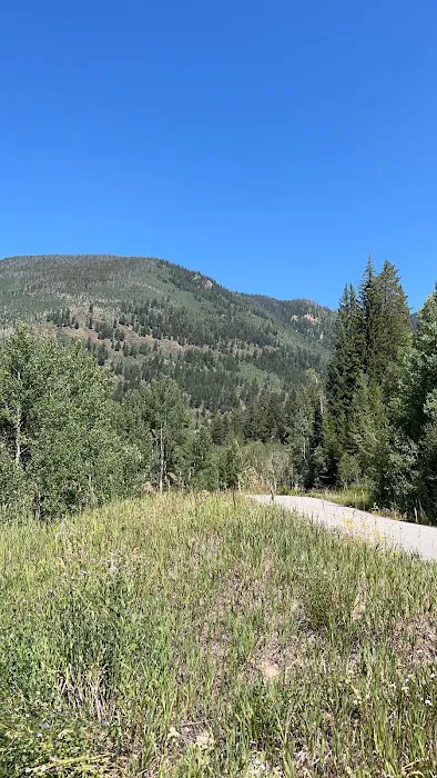 Vail Pass / Tenmile Canyon National Recreation Tra (recgovnpsdata) 3
