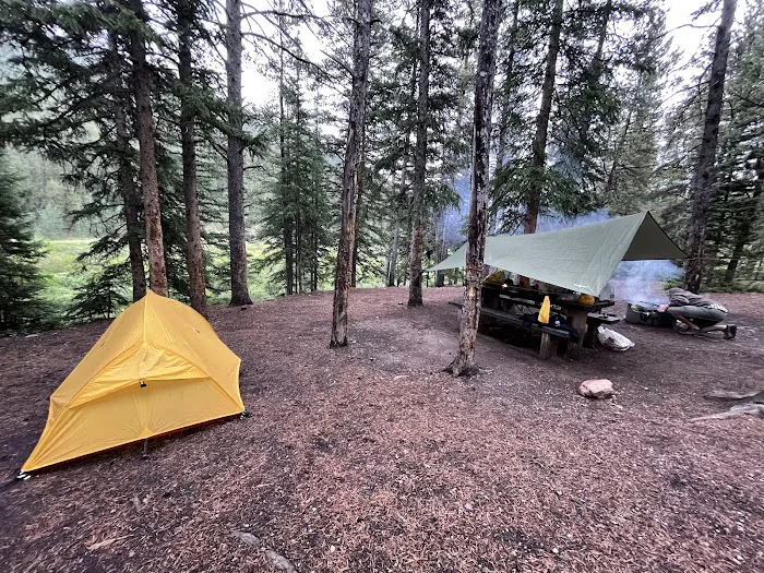 Weston Pass Campground 8