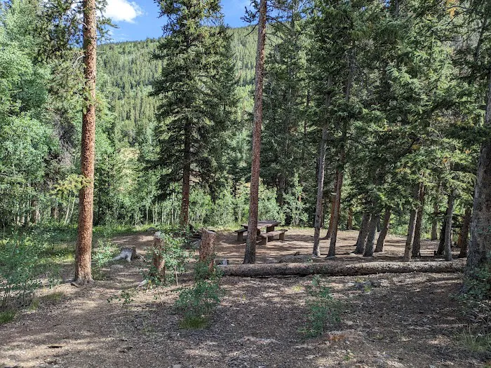 Weston Pass Campground 5