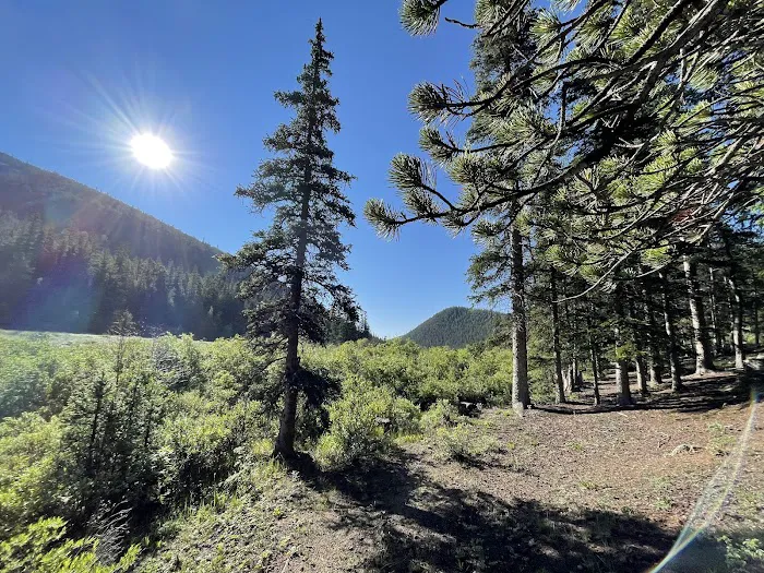 Weston Pass Campground 7