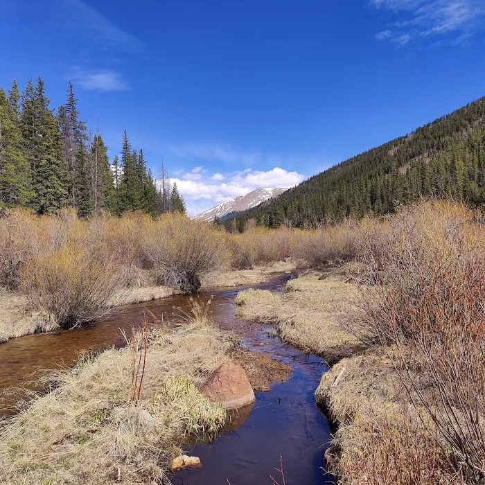 Weston Pass Campground 9
