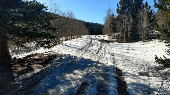 Weston Pass Campground 0