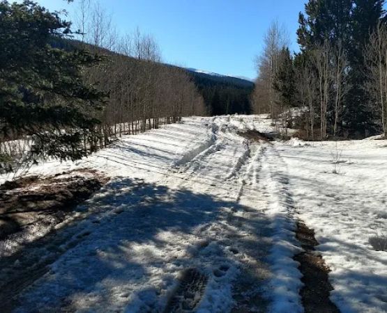 Weston Pass Campground