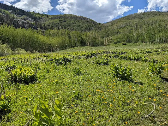 Cataract Creek Campground 2