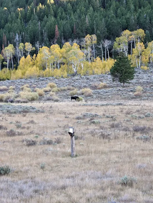 Pumphouse Campground 6