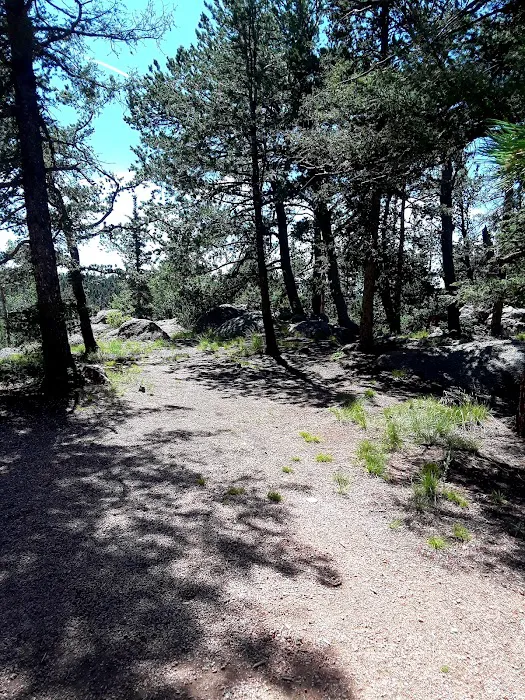 Grouse Mountain Campground 7