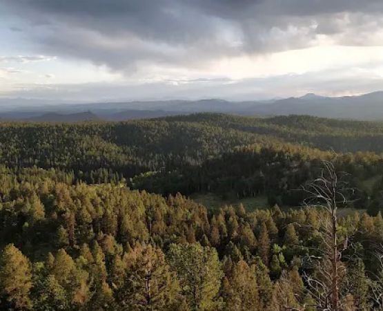 Revenuer's Ridge Campground