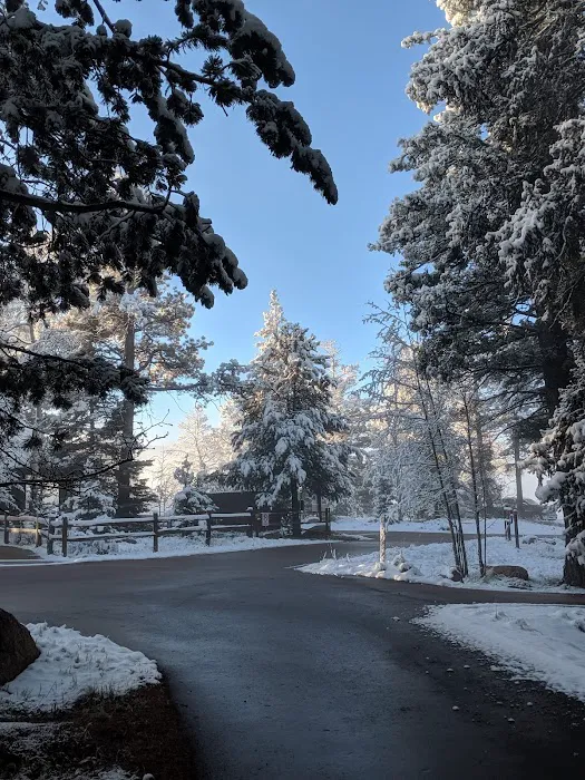 Revenuer's Ridge Campground 5