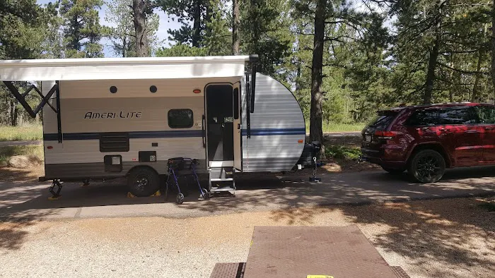 Revenuer's Ridge Campground 9