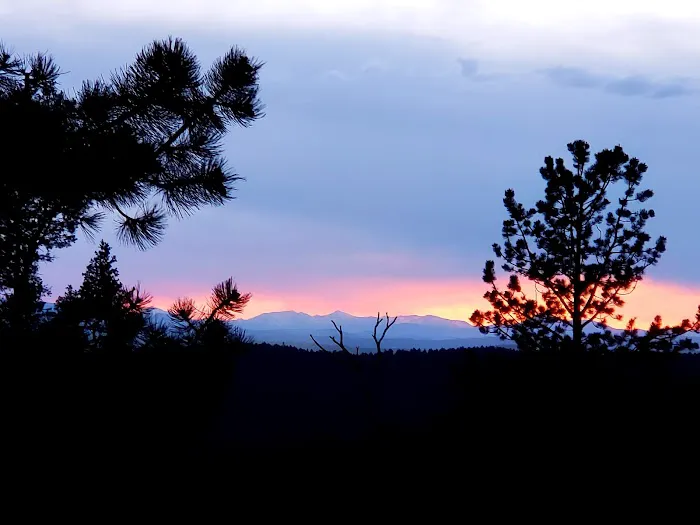 Revenuer's Ridge Campground 2