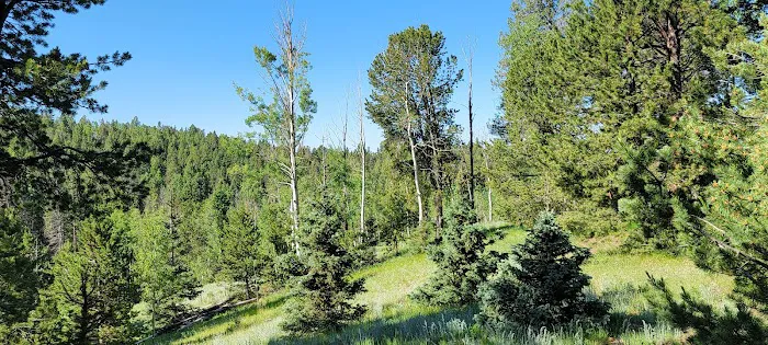 Prospector Ridge Campground 0