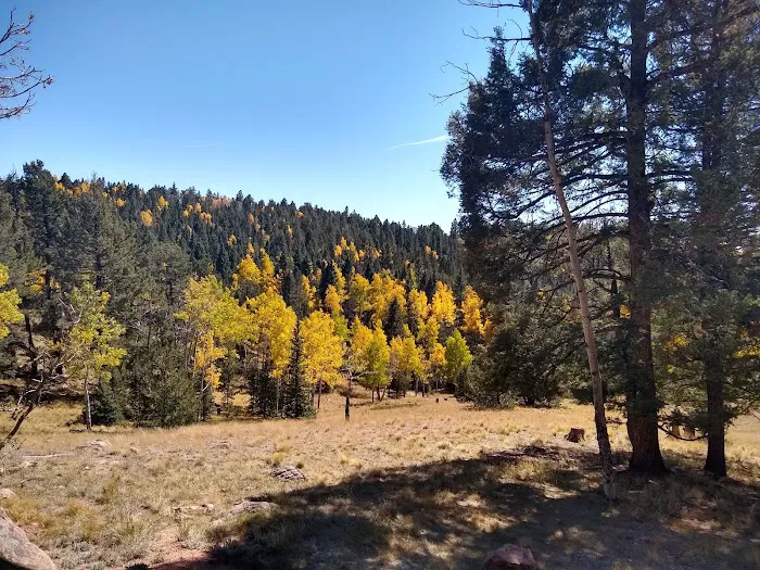 Prospector Ridge Campground 7