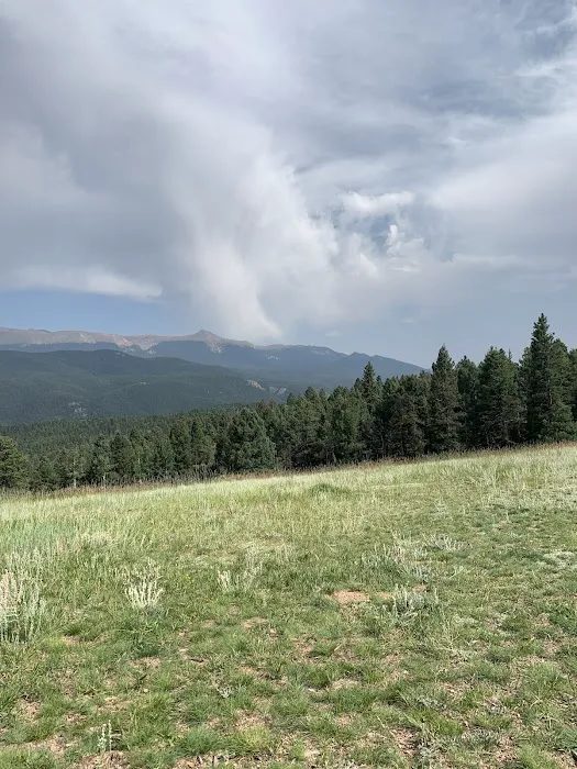 Prospector Ridge Campground 6