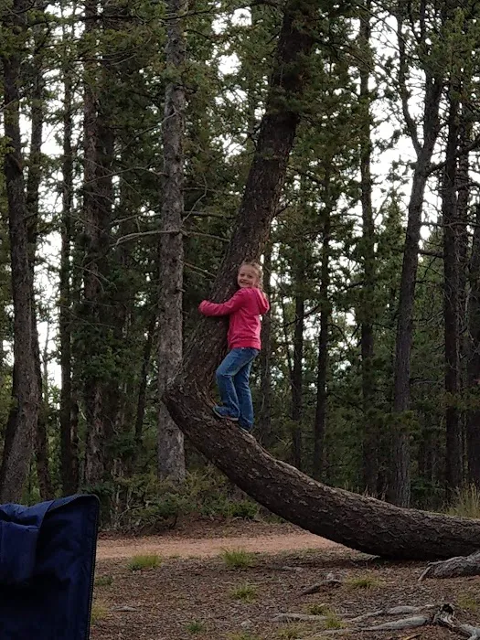 Prospector Ridge Campground 4