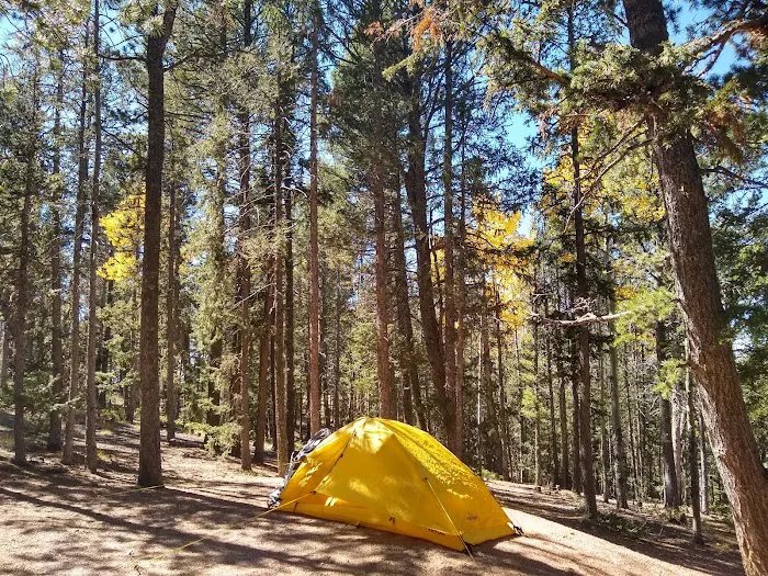Prospector Ridge Campground 9