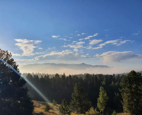 Pisgah Point Campground