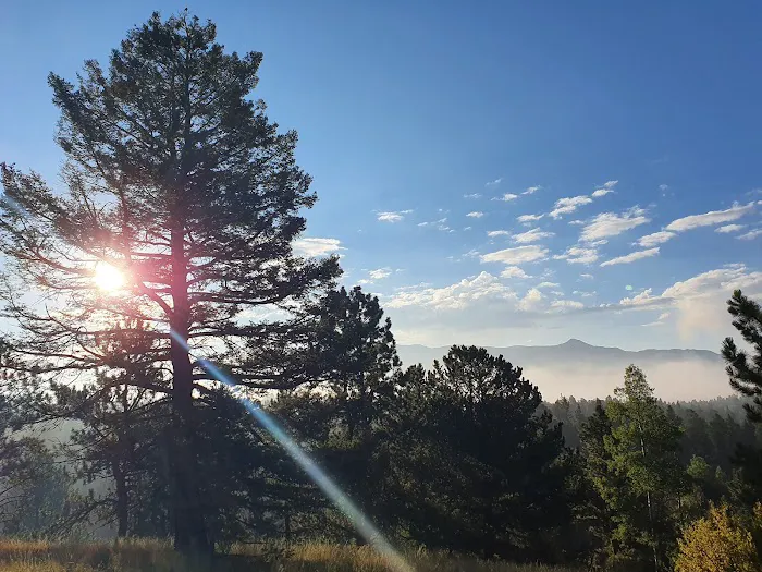 Pisgah Point Campground 2