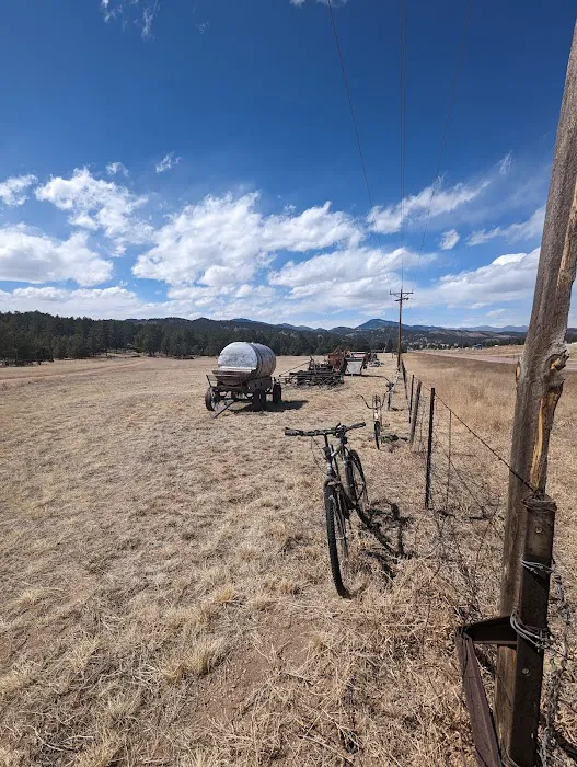 Travel Port Campground 4