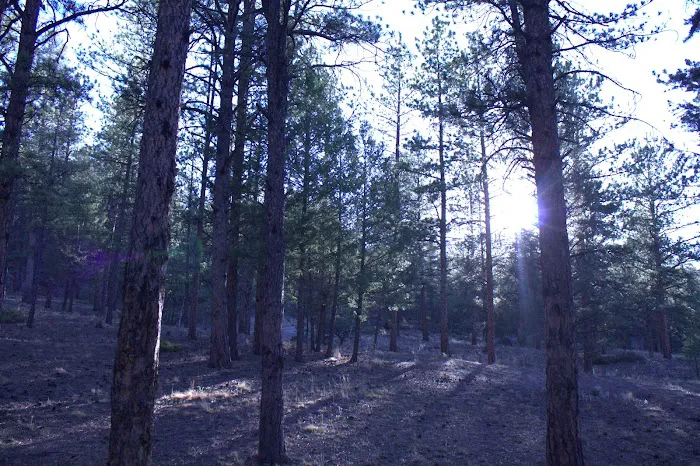 Blue Mountain Campground 2