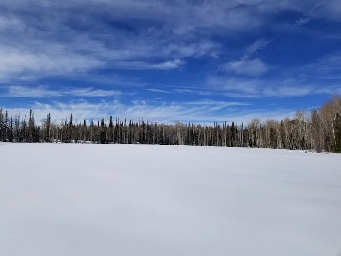Dry Lake Campground 2