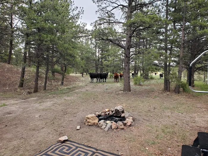 Badger Flats Campsite 7
