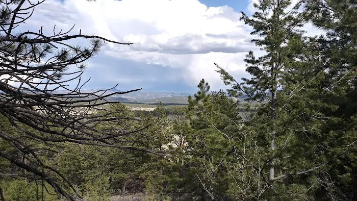 Badger Flats Campsite 1