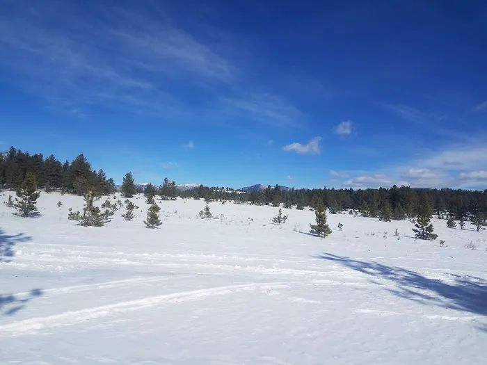 Badger Flats Campsite 6