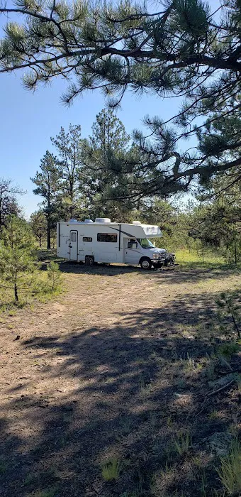 Badger Flats Campsite 0