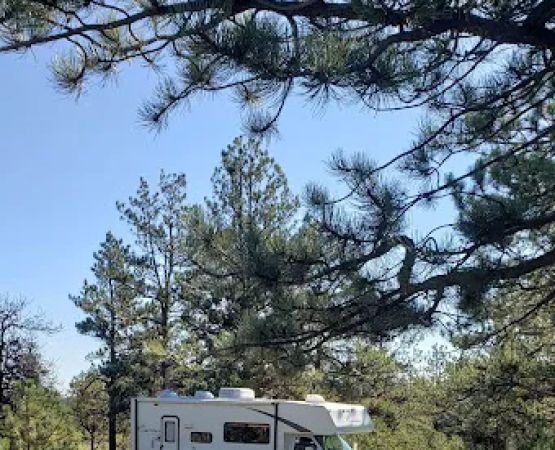 Badger Flats Campsite