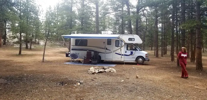 Badger Flats Campsite 5