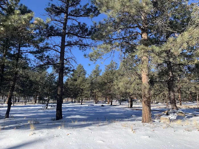 Round Mountain Campground 7