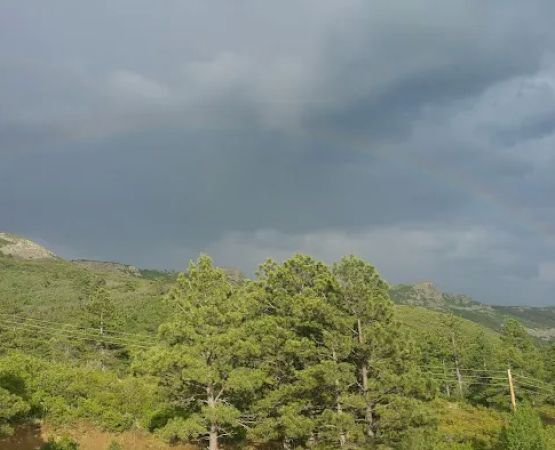 Cedar Rail Campground