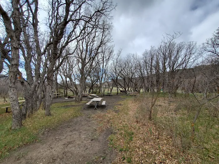 Gambel Oak Group Campground 8